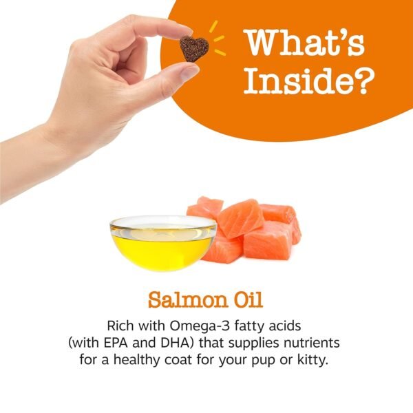 Could Zesty Paws Salmon Oil 8.5oz Review Reveal Best Omega 3 Supplement for Dogs Could Zesty Paws Salmon Oil 8.5oz Review Reveal Best Omega 3 Supplement for Dogs