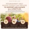 Does Ancestral Supplements Grass Fed Beef Liver Review Reveal True Health Benefits for You Does Ancestral Supplements Grass Fed Beef Liver Review Reveal True Health Benefits for You
