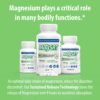 Does Jigsaw Health MagSRT Magnesium Supplement Review Reveal Real Benefits for Muscle Relief Does Jigsaw Health MagSRT Magnesium Supplement Review Reveal Real Benefits for Muscle Relief