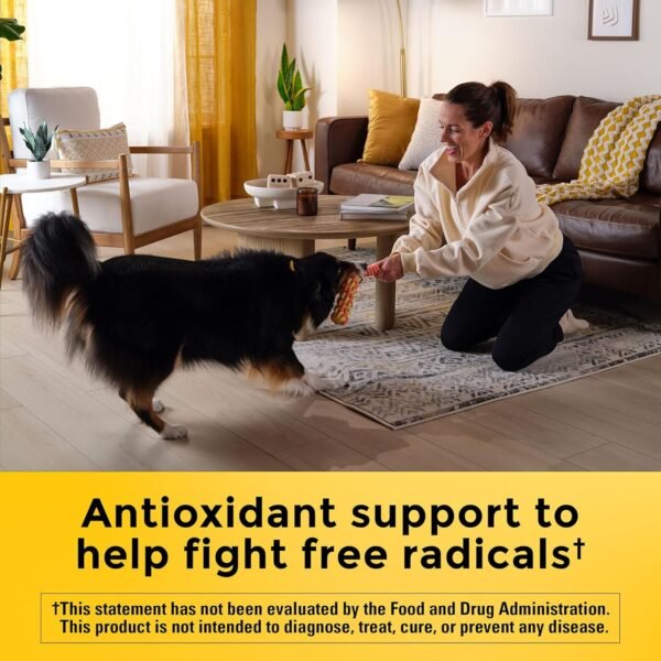 Does Nature Made CoQ10 300mg Softgels Review Reveal True Heart Health Benefits Does Nature Made CoQ10 300mg Softgels Review Reveal True Heart Health Benefits