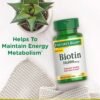 Does Nature's Bounty Biotin Softgels Support Healthy Hair Review Reveal Truths You Need Does Nature's Bounty Biotin Softgels Support Healthy Hair Review Reveal Truths You Need