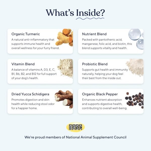 Does Pawfy Probiotic Chews for Dogs Really Improve Gut Health Review Reveal? Does Pawfy Probiotic Chews for Dogs Really Improve Gut Health Review Reveal?