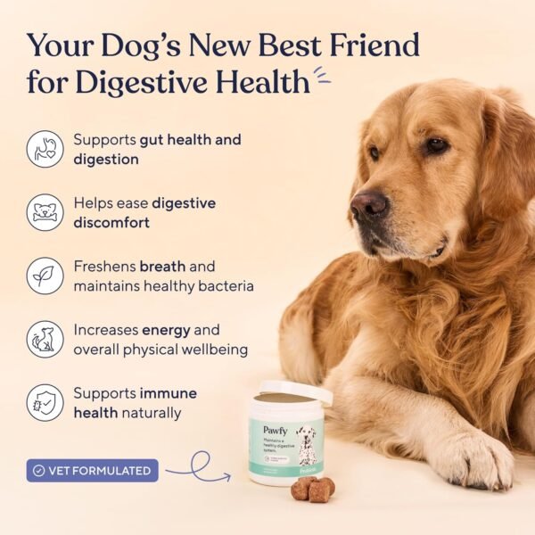 Does Pawfy Probiotic Chews for Dogs Really Improve Gut Health Review Reveal? Does Pawfy Probiotic Chews for Dogs Really Improve Gut Health Review Reveal?