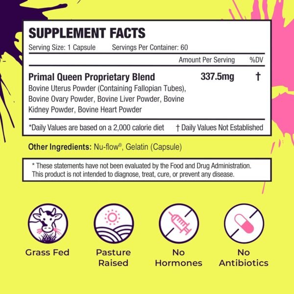Does Primal Queen Beef Organ Supplement Review Reveal True Benefits for Women’s Health and Energy Does Primal Queen Beef Organ Supplement Review Reveal True Benefits for Women’s Health and Energy