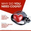 Does Qunol CoQ10 100mg Softgels Review Reveal Superior Absorption Benefits for Heart Health? Does Qunol CoQ10 100mg Softgels Review Reveal Superior Absorption Benefits for Heart Health?