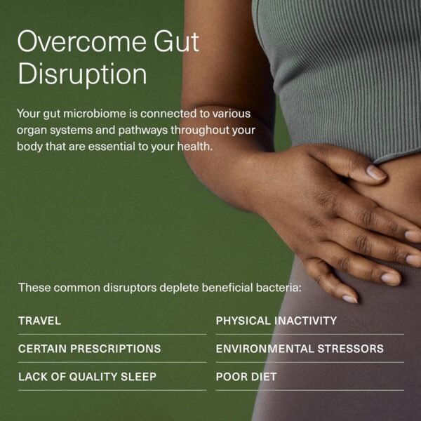 Does Seed 14 Day Gut Reset Probiotic Review Deliver Rapid Digestive Health Relief for Adults Does Seed 14 Day Gut Reset Probiotic Review Deliver Rapid Digestive Health Relief for Adults