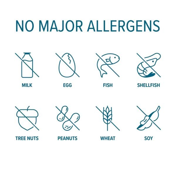 Does Seeking Health Methyl B12 Supplement Review Reveal Real Brain Health Benefits? Does Seeking Health Methyl B12 Supplement Review Reveal Real Brain Health Benefits?