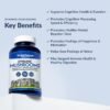 Does Stonehenge Health Dynamic Mushrooms Review Reveal Best Nootropic Brain Supplement Benefits Does Stonehenge Health Dynamic Mushrooms Review Reveal Best Nootropic Brain Supplement Benefits