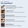 Does Stonehenge Health Dynamic Mushrooms Review Reveal Best Nootropic Brain Supplement Benefits Does Stonehenge Health Dynamic Mushrooms Review Reveal Best Nootropic Brain Supplement Benefits