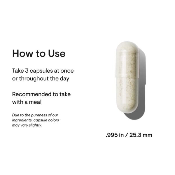 Does THORNE Basic Prenatal Vitamin Review Reveal Best Multivitamins for Moms-to-Be Does THORNE Basic Prenatal Vitamin Review Reveal Best Multivitamins for Moms-to-Be