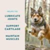 Does VetIQ Hip and Joint Supplement for Dogs Really Improve Mobility Review Does VetIQ Hip and Joint Supplement for Dogs Really Improve Mobility Review
