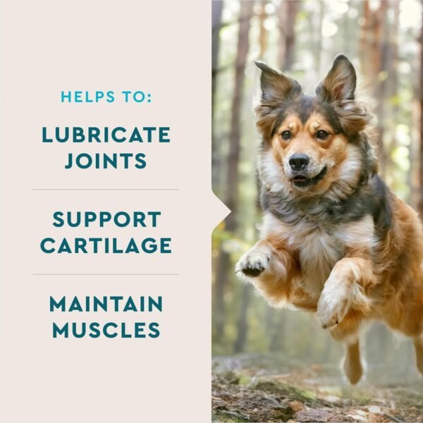Does VetIQ Hip and Joint Supplement for Dogs Really Improve Mobility Review Does VetIQ Hip and Joint Supplement for Dogs Really Improve Mobility Review