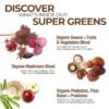 How does COUNTRY FARMS Organic Super Greens Chocolate flavor review reveal true health benefits? How does COUNTRY FARMS Organic Super Greens Chocolate flavor review reveal true health benefits?