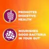 How does Metamucil Fiber Gummies review reveal the best plant based fiber supplement benefits How does Metamucil Fiber Gummies review reveal the best plant based fiber supplement benefits