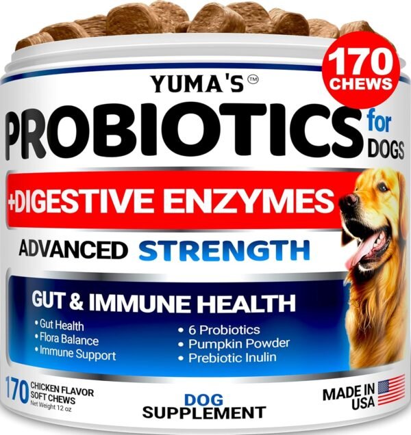 Probiotics for Dogs and Digestive Enzymes - 170 Dog Probiotics Chews - Dog Probiotic - Anti Diarrhea, Upset Stomach & Gas Relief, Constipation, Canine Prebiotic - Pet Fiber... Probiotics for Dogs and Digestive Enzymes - 170 Dog Probiotics Chews - Dog Probiotic - Anti Diarrhea, Upset Stomach & Gas Relief, Constipation, Canine Prebiotic - Pet Fiber...