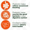 What makes Align prebiotic and probiotic gummies the best digestive supplement review you need? What makes Align prebiotic and probiotic gummies the best digestive supplement review you need?