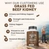 What makes Ancestral Supplements Grass Fed Kidney Review essential for kidney support enthusiasts What makes Ancestral Supplements Grass Fed Kidney Review essential for kidney support enthusiasts