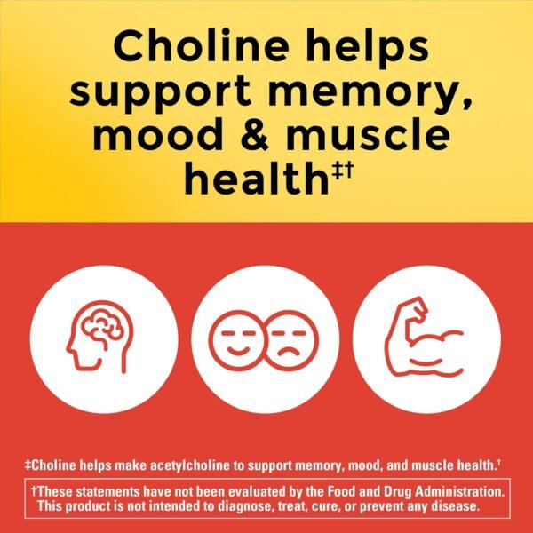 What makes Nature Made Extra Strength Dosage Choline the best brain health supplement review What makes Nature Made Extra Strength Dosage Choline the best brain health supplement review