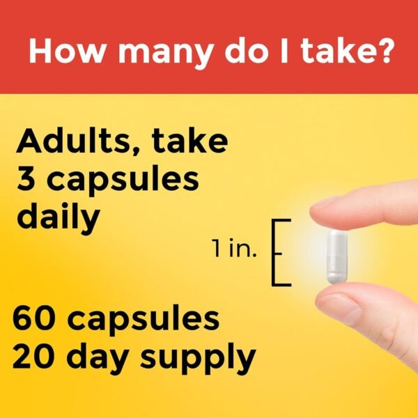 What makes Nature Made Extra Strength Dosage Choline the best brain health supplement review What makes Nature Made Extra Strength Dosage Choline the best brain health supplement review