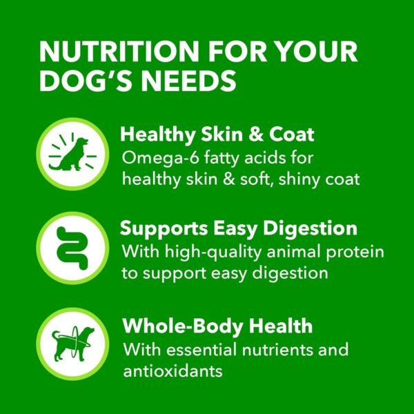 Why does IAMS Wet Dog Food stand out in senior dog nutrition review insights Why does IAMS Wet Dog Food stand out in senior dog nutrition review insights