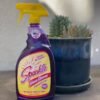 51PelHJFHfL._AC_SL1000_ Sparkle Glass Cleaner Review Discover Streak-Free Shine With Ammonia-Free Formula