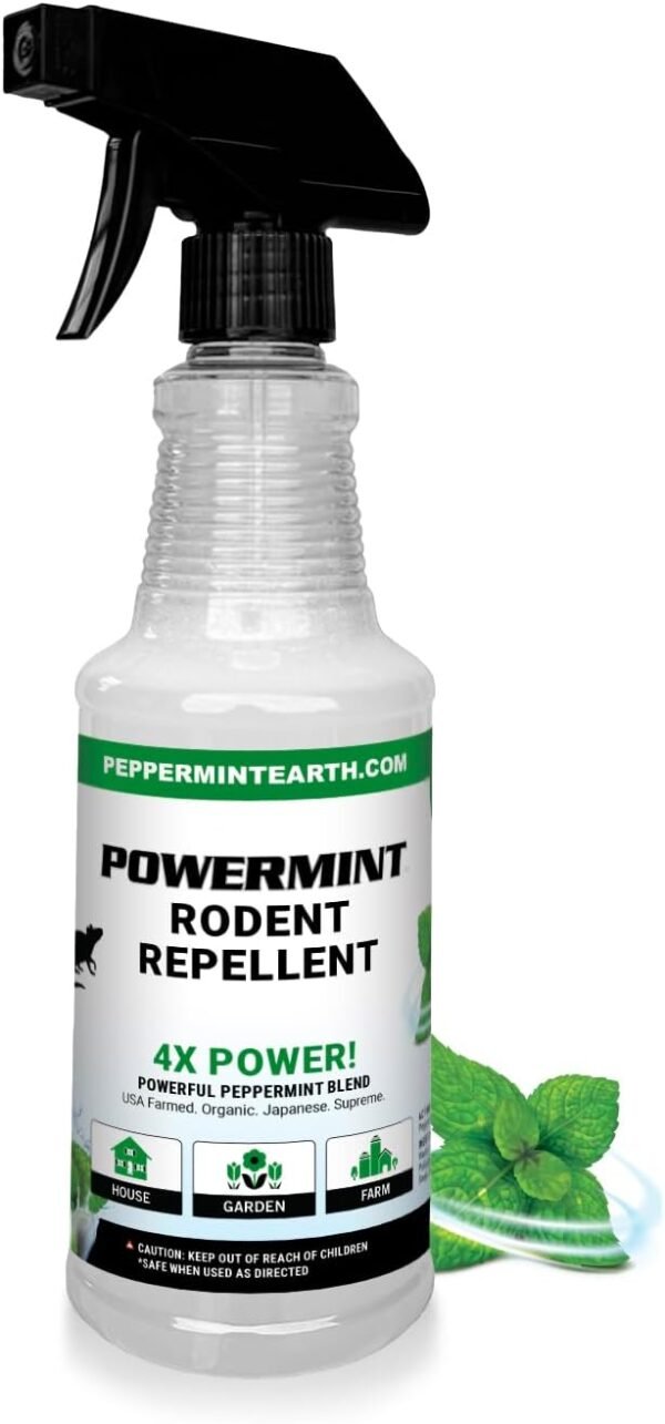 51fnXeHx6sL._AC_SL1500_ Powermint Rodent Repellent Spray Review Best Natural Peppermint Oil Pest Control