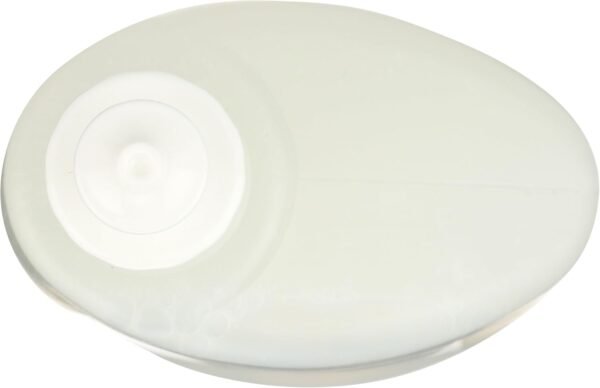 51gRN2pq8XL._AC_SL1500_ 365 by WFM Toilet Bowl Cleaner Review Powerful Citrus Scent and Eco-Friendly Formula