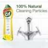 Version 1.0.0 Cif Lemon Cream Cleaner Review Best All Purpose Cleaner for Tough Dirt Removal
