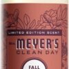 61SdWSkLiKL._AC_SL1500_ Mrs Meyers Fall Leaves Dish Soap Review Biodegradable Grease Cutting Formula