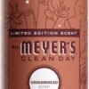 61h8gzMaYlL._AC_SL1500_ Limited Edition Gingerbread Scent Dish Soap Review Mrs Meyers Clean Day Holiday Edition