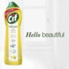 Version 1.0.0 Cif Lemon Cream Cleaner Review Best All Purpose Cleaner for Tough Dirt Removal