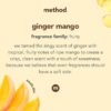 61uxiv2WooS._AC_SL1200_ Method Liquid Laundry Detergent Review Plant-Based Power and Ginger Mango Freshness Uncovered