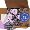 71JGjfYbEUL._AC_SL1200_ Repurpose Bamboo Toilet Paper Review Tree-Free 3-Ply Strong Septic Safe Rolls
