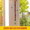 71MmHa7j0cL._AC_SL1500_ PIC Fly Ribbon Fruit Fly Traps Review Effective Indoor Outdoor Bug Catchers for Home