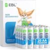 71Mqzy9t5L._AC_SY300_SX300_ EBL AA Batteries Review Long-Lasting 20 Pack Alkaline Power for Household Use