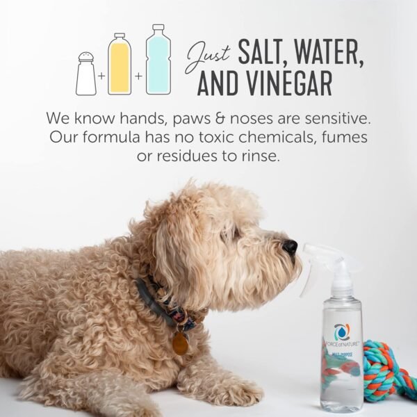 Force of Nature All-Purpose Cleaner Review Reveals Powerful EPA Registered Natural Solution