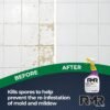 RMR-141 Mold and Mildew Killer Review EPA Registered Powerful Household Cleaner