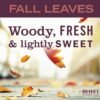71wTKk-iKqL._AC_SL1500_ Mrs Meyers Fall Leaves Dish Soap Review Biodegradable Grease Cutting Formula
