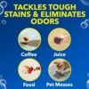 81UWCBCBi3L._AC_SL1500_ OxiClean Large Carpet Cleaner Review Deep Cleaning Power for Steam Machines