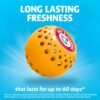 81b3Boz-3SL._AC_SL1500_ Arm and Hammer Fabric Deodorizer Review Long Lasting Odor Busterz Balls Insights