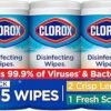 81jdmPo8pAL.__AC_SX300_SY300_QL70_ML2_ In-Depth Review of Clorox Disinfecting Wipes Best Household Cleaning Essentials Pack