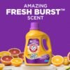 81krRPJ1pML._AC_SL1500_ ARM & HAMMER Plus OxiClean Liquid Laundry Detergent Review Tackling Odors and Stains