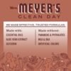 81u6yExc01L._AC_SL1500_ Limited Edition Gingerbread Scent Dish Soap Review Mrs Meyers Clean Day Holiday Edition