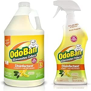 81xopBBB9mL.__AC_SY300_SX300_QL70_ML2_ OdoBan Multi-Purpose Disinfectant Spray Review Best Fabric Deodorizer for Home