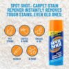 91DCc0ITG5L._AC_SL1500_ Spot Shot Instant Carpet Stain Remover Review WD-40 COMPANY Effectiveness Tested