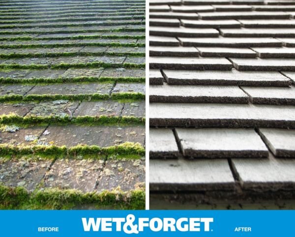 91nvXPo4JlL._AC_SL1500_ Wet & Forget Outdoor Cleaner Review Best Mold Mildew Remover for Decks Siding